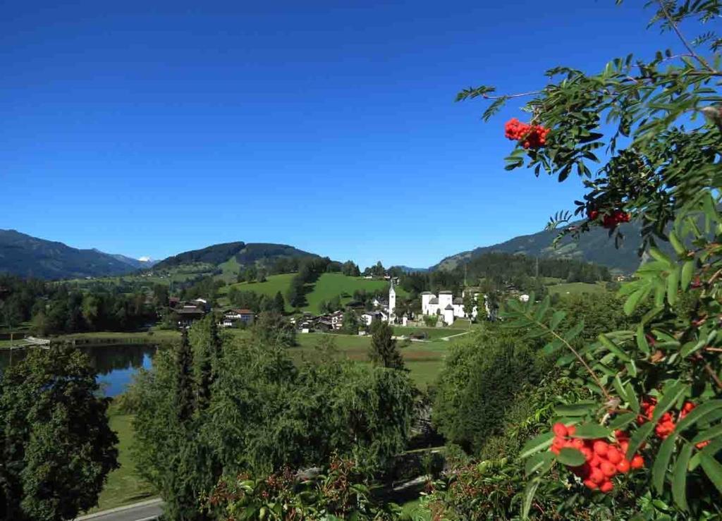 Bio-Bauernhof Reitmayrgut Goldegg Exterior foto